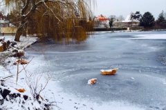 10815835_10153036431974374_2101566480_n_1024