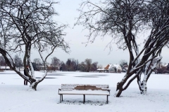 10872288_10153036431554374_440164905_n_1024