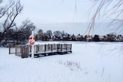 10887740_10153036433034374_348619626_n_1024