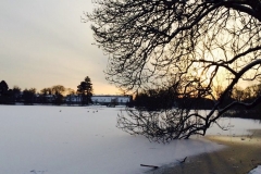 10888212_10153036432929374_2093584134_n_1024