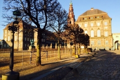 11041474_10153224059344374_429361422_n_1024