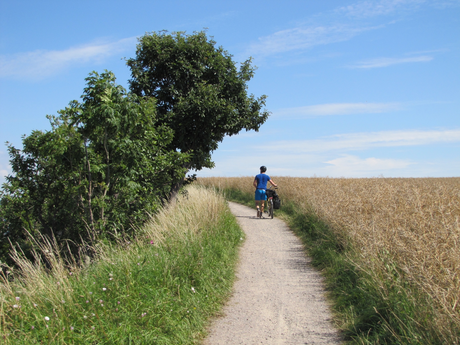 Excursion at Hven island